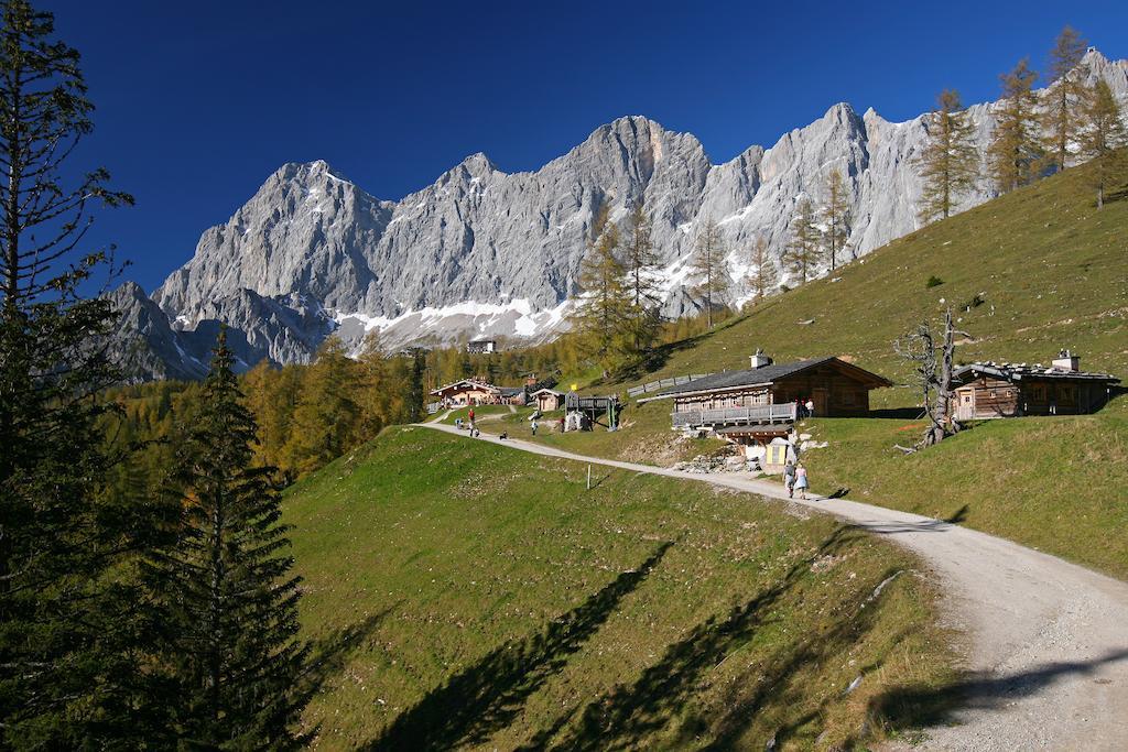 Alpenblick